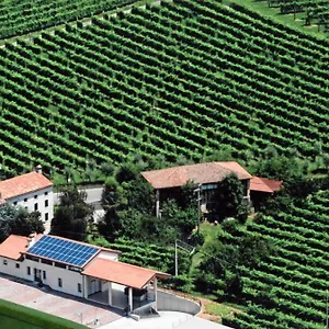 Ricca Vigna Italien